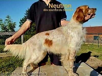 Neutron des sources du segala